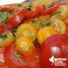 Kit 'Grains de Folie dans l'Assiette' 6 Tomates  - Solanum lycopersicum