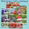 Catalogue Hortiflor