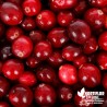 Cranberry 'Steven' (Cranberries) - Vaccinium macrocarpon 'Stevens'