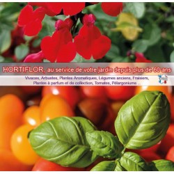 Catalogue Hortiflor